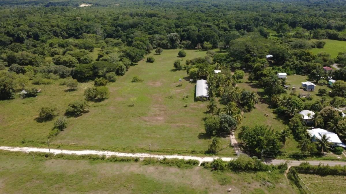 11-Acre Horse Farm on the Belize River