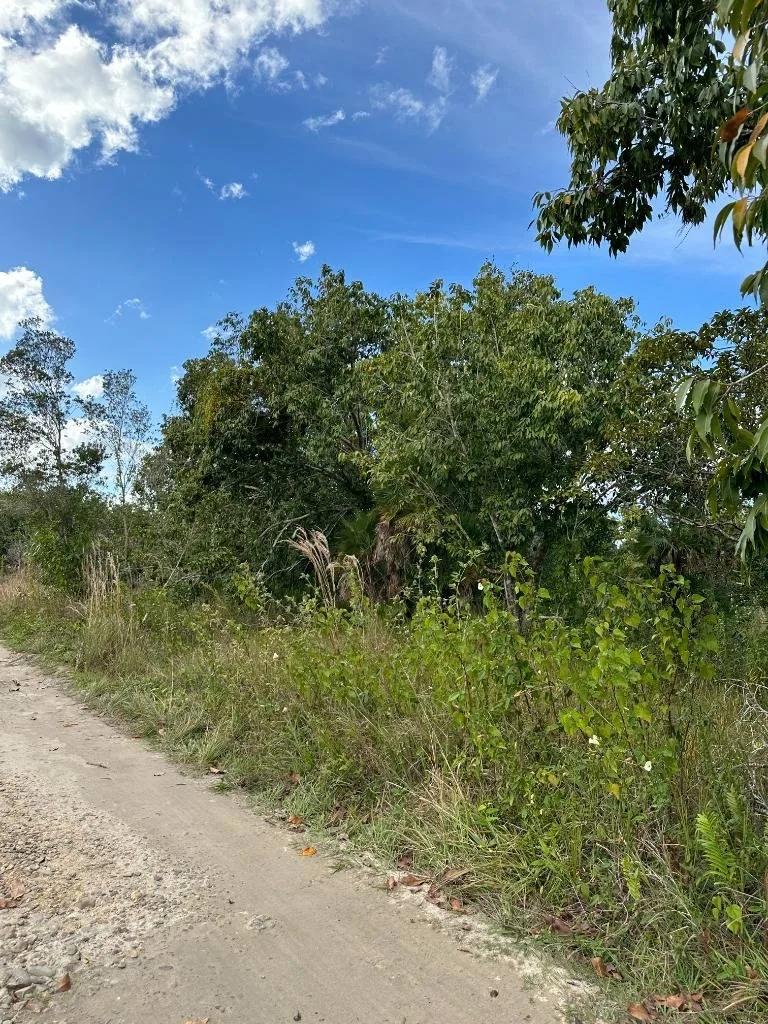 Affordable lots Burrel Boom in Castleton Area . - Photo 8
