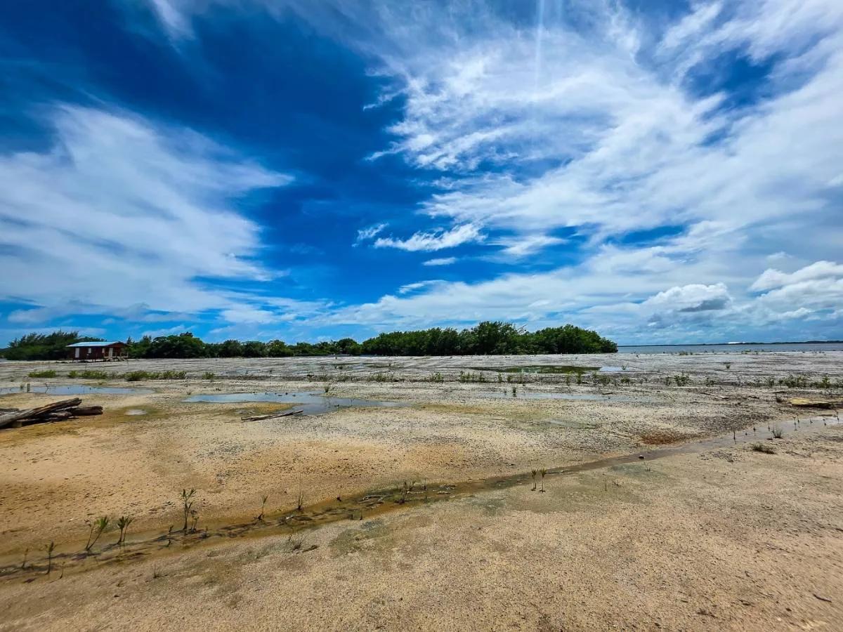 Stunning 1-Acre Lagoonfront Lot - Photo 8