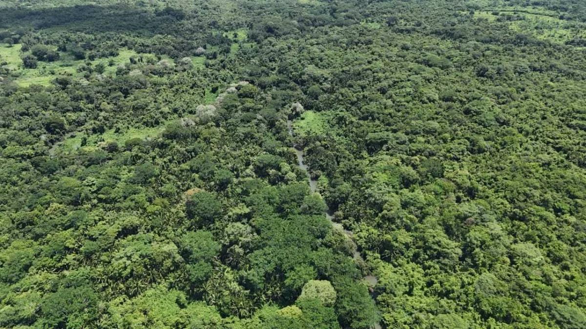 Riverside Tropical Investment – 30 & 12.3 Acres on the Rio Grande, Big Falls - Photo 6