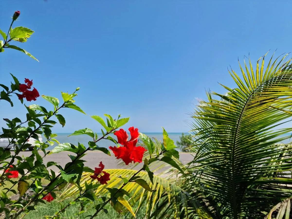 Gorgeous double Lot with single Home and ocean view in Punta Gorda for Sale - Photo 2
