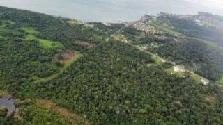 Lush Lots surrounded by Jungle - Photo 4
