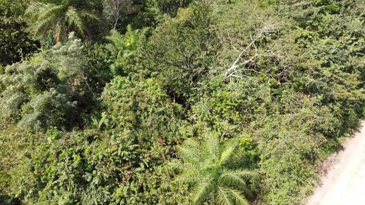 Residential Lot For Sale Esperanza, Cayo District - Photo 7