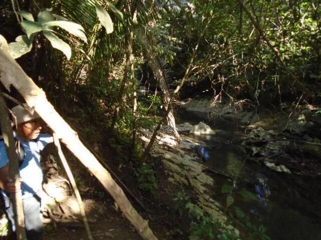 30 plus acres of rugged, elevated and fertile land hugged by two all-weather creeks. - Photo 7
