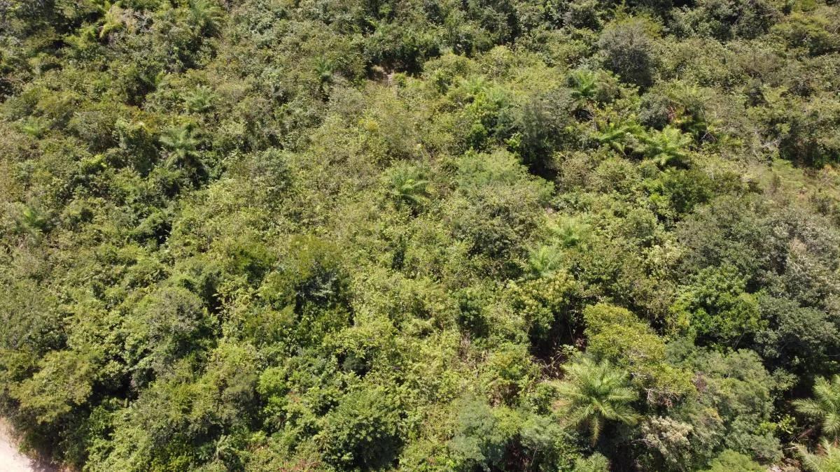 Residential Lot For Sale Esperanza, Cayo District - Photo 8