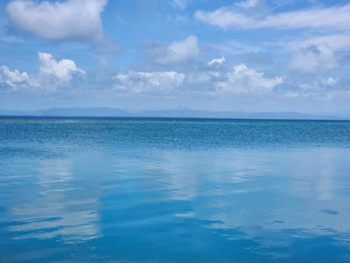 2.025 Acres of Serenity on South Saddle Caye - Photo 8