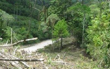 Development Property for sale - Photo 2