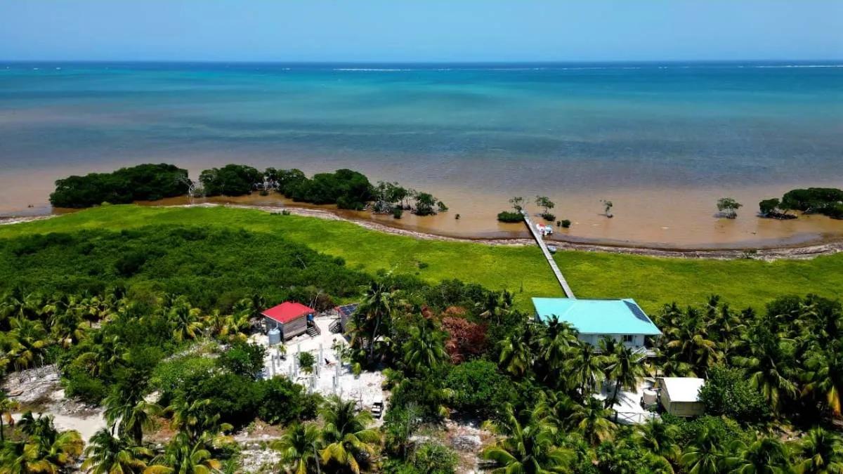 Lush Off-Grid Waterfront Opportunity – North Caye Caulker - Photo 7