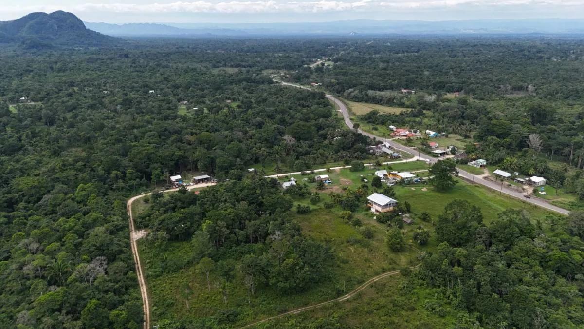 Beautiful 4 parcels high, dry land ready for development in Toledo, Belize - Photo 6
