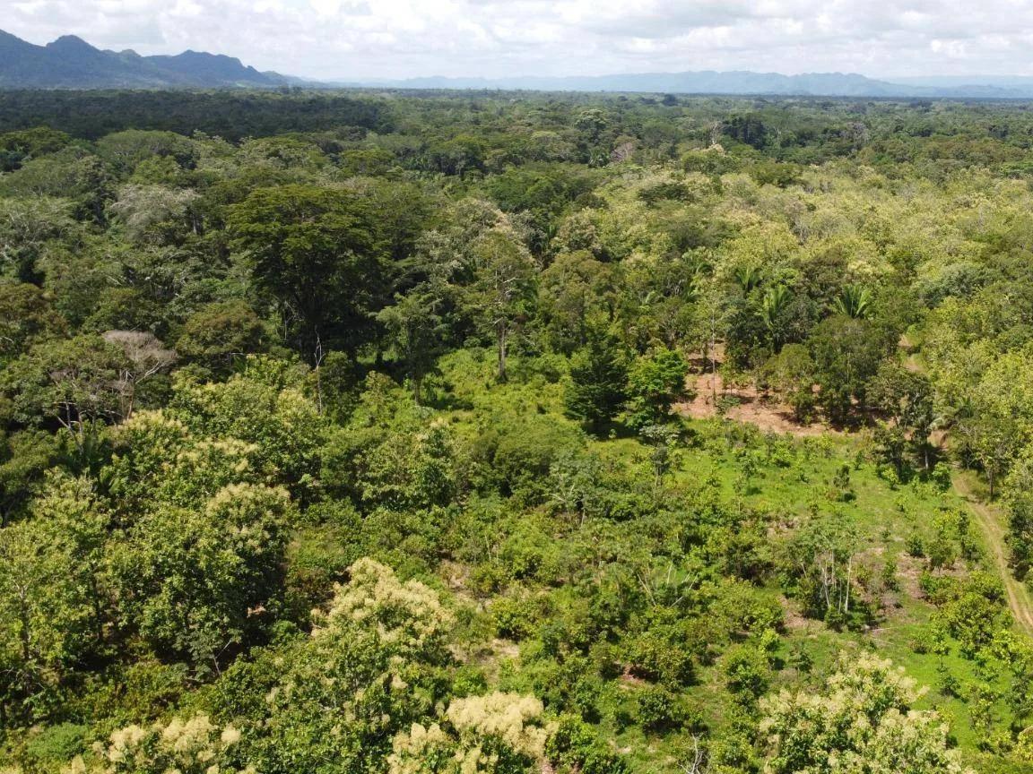 Beautiful, unique Teak and Cacao farm with 299.19 acres in Toledo