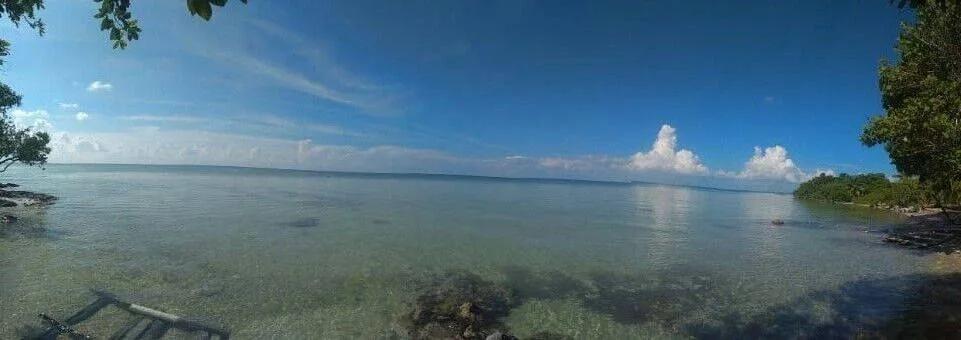 46 Acres of Land : 8 miles from Sarteneja Village - Photo 4