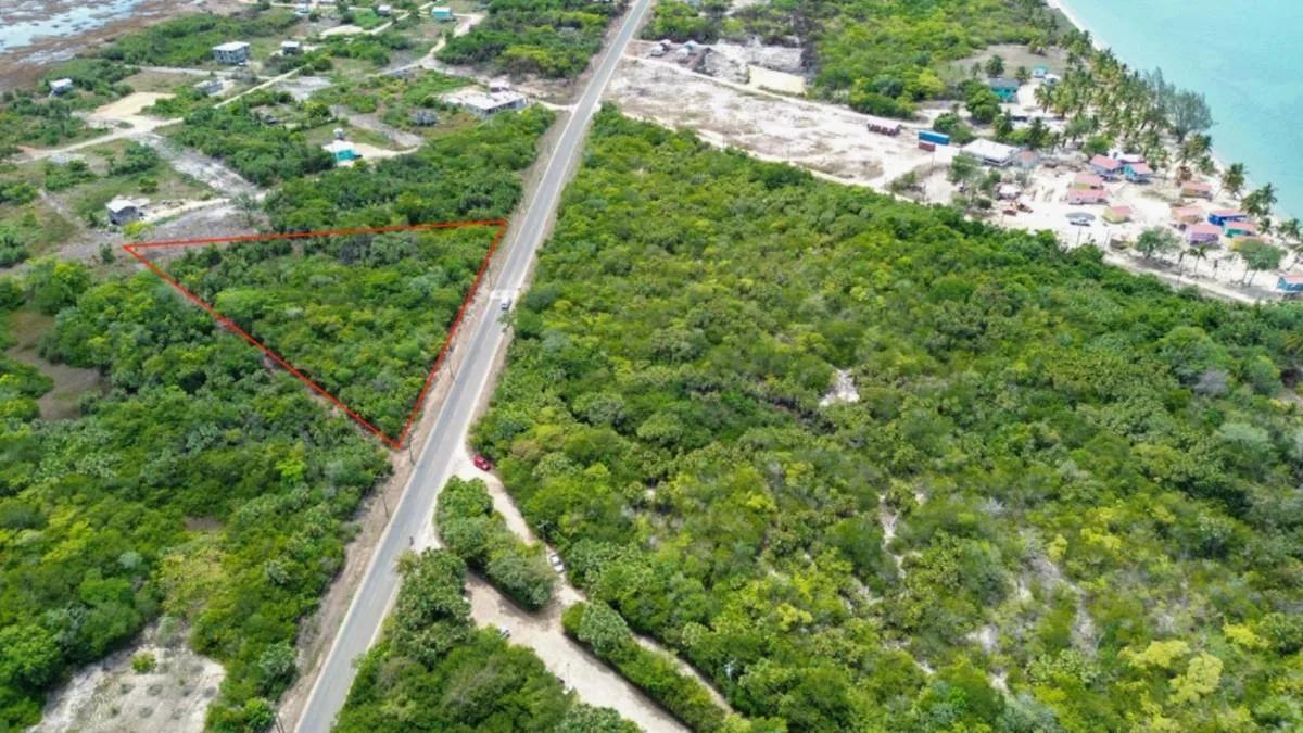 Unique Triangle-Shaped Parcel in Hopkins Hotel Zone - Photo 2