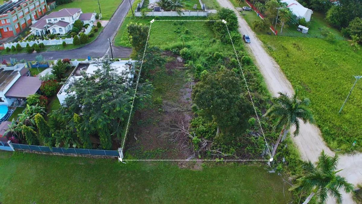 Exclusive Opportunity in Prestigious University Heights Belmopan - Photo 3