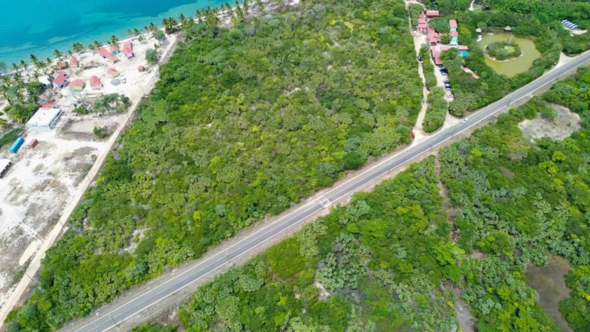 Unique Triangle-Shaped Parcel in Hopkins Hotel Zone - Photo 8