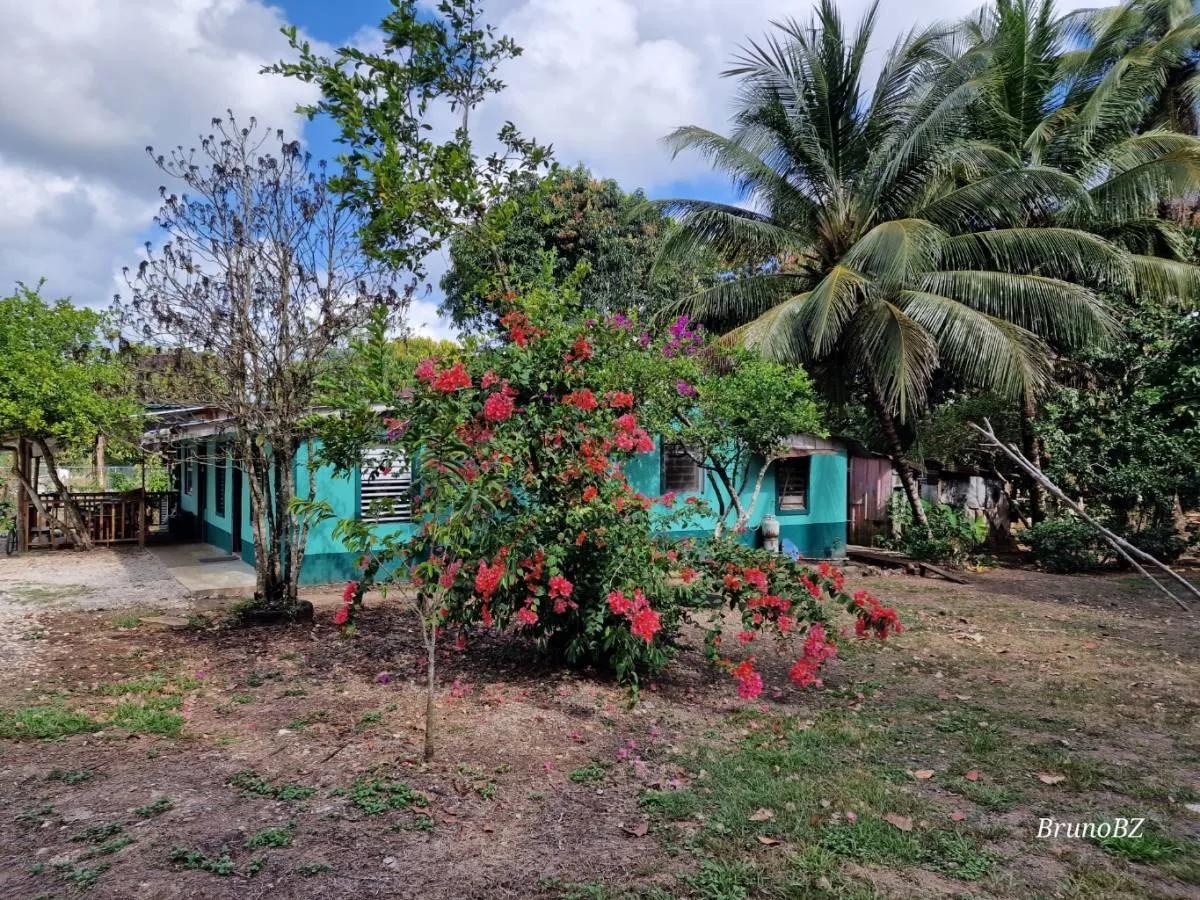 0.92 acres in the heart of Jacintoville (Toledo)