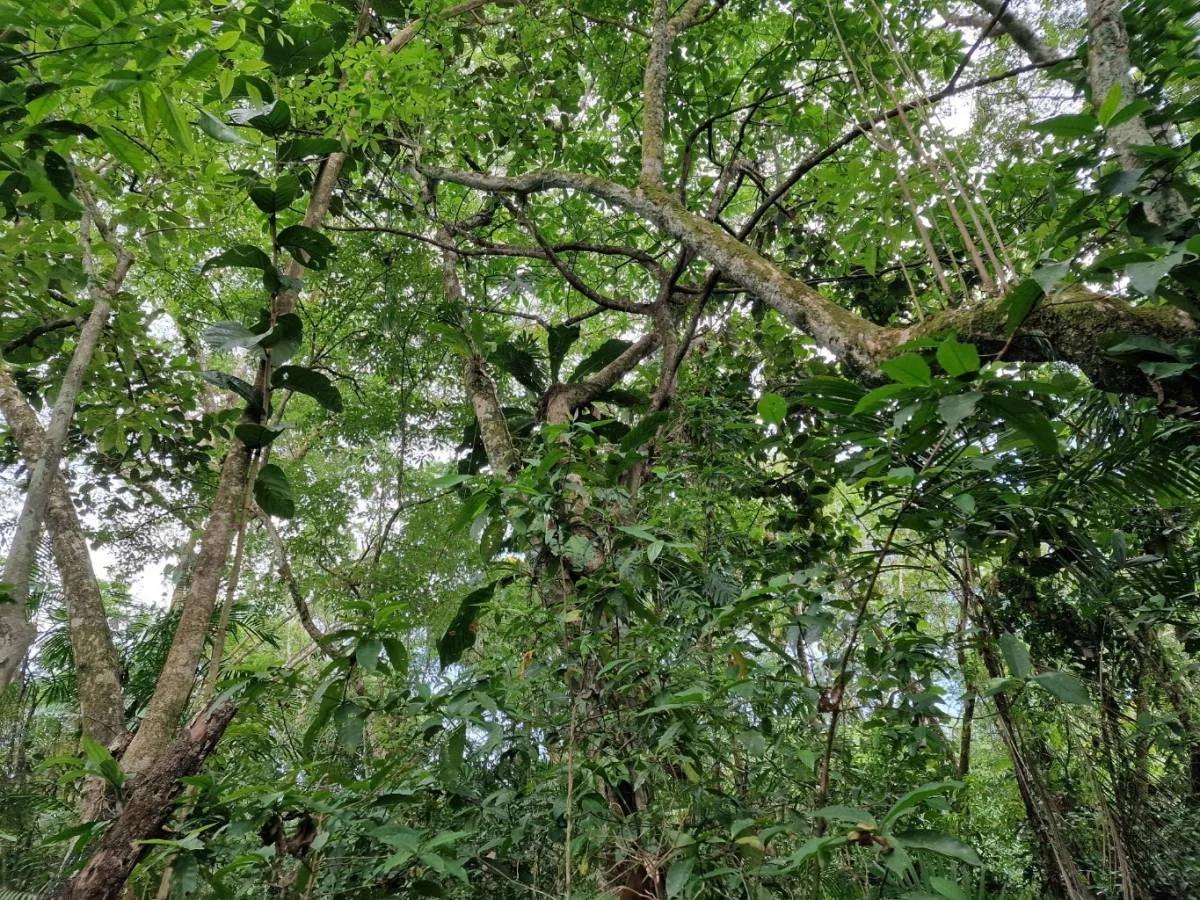 1 Acre Prime Residential Property in Cattle Landing - Photo 4