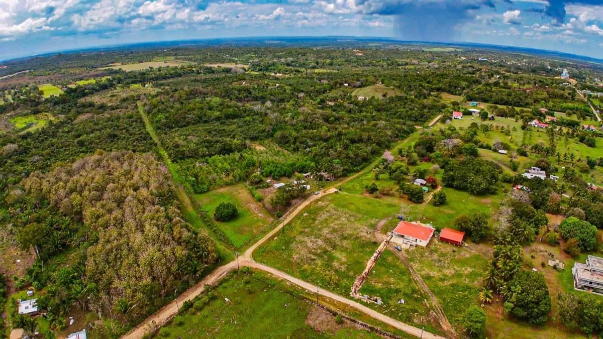 Soursop Gardens Estate – fruit bearing lots in the heart of Belmopan - Photo 7