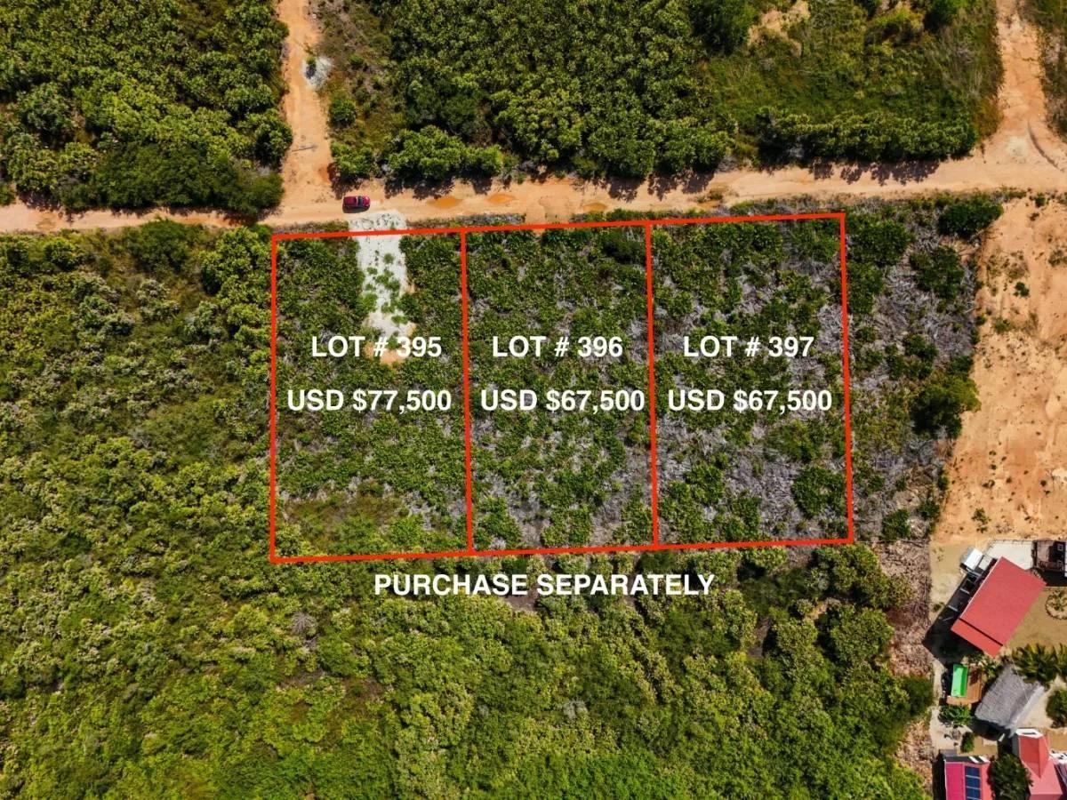 Triple Lot Opportunity (Over 1+ Acre) - Photo 2