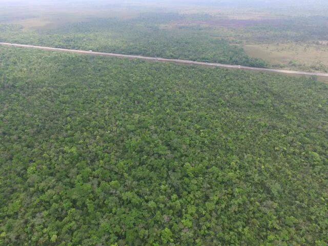 Large Untouched Acreage - Photo 3