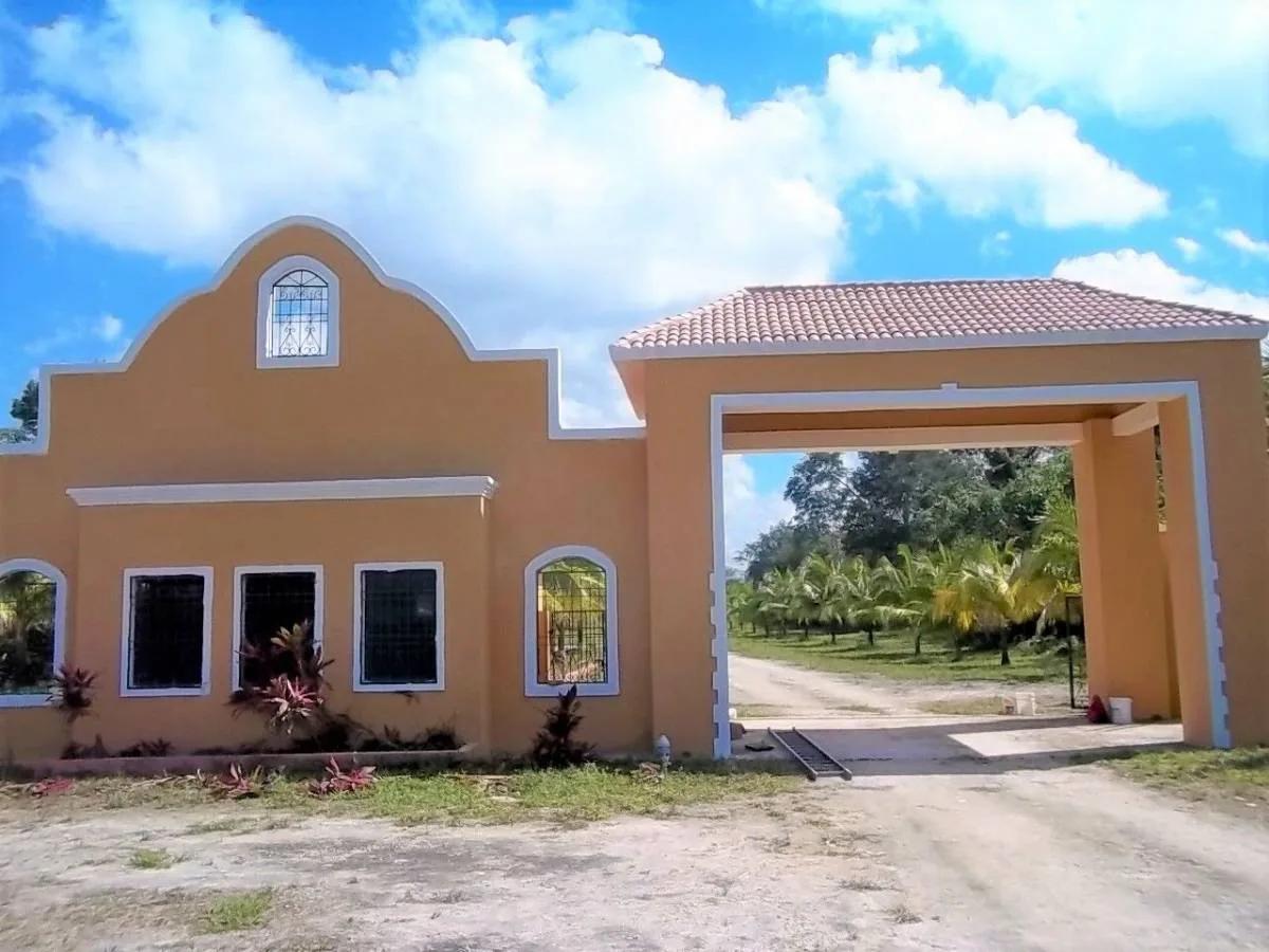 Progresso Heights Lot 75ft x 135 ft - Photo 6
