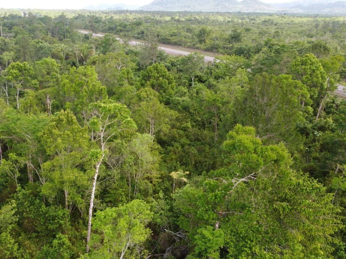 Create your amazing dream estate, an exceptional opportunity to purchase 20.05 acres!