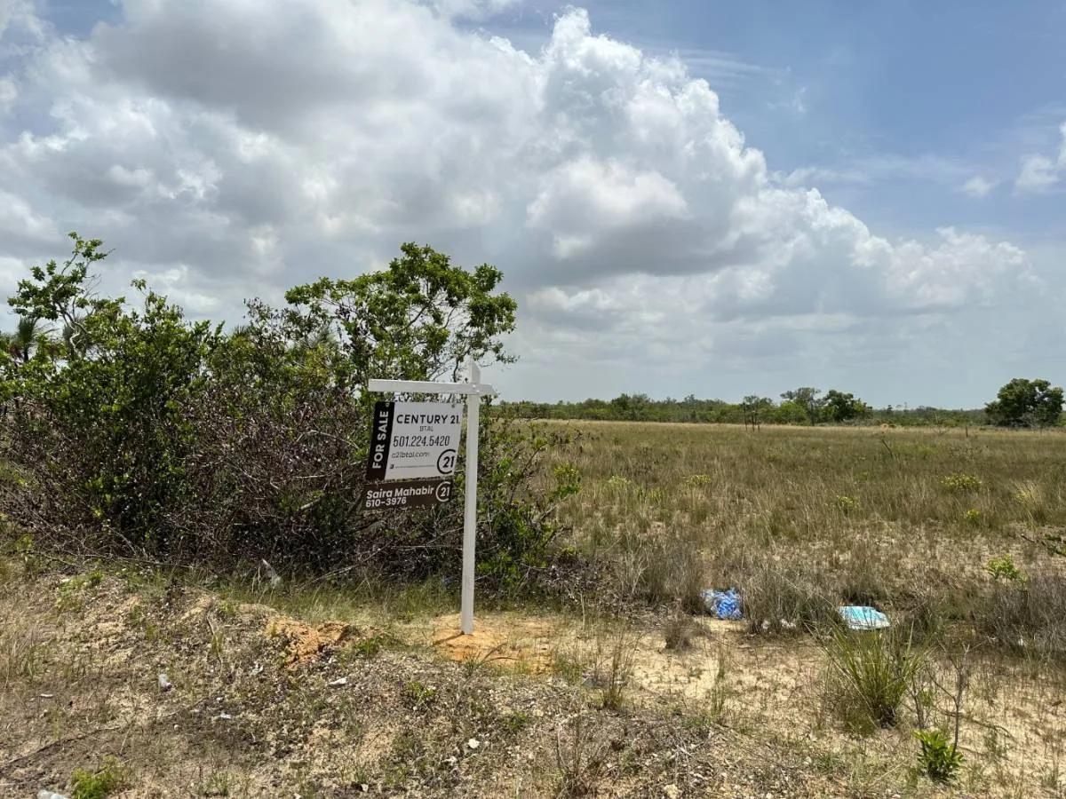 13.75 Acres of pure tranquility