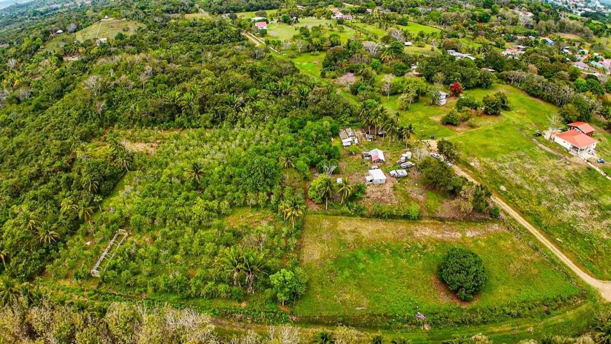 Soursop Gardens Estate – fruit bearing lots in the heart of Belmopan - Photo 4