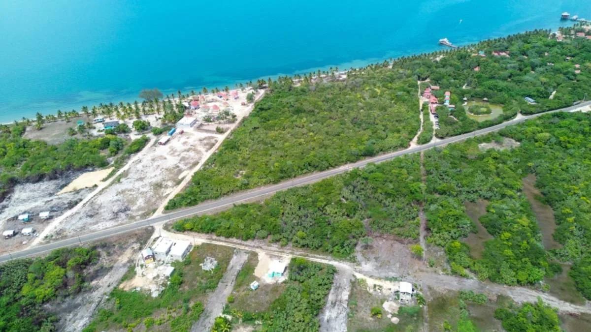 Prime Parcel in the Hopkins Hotel Zone, Offering Exceptional Potential - Photo 4