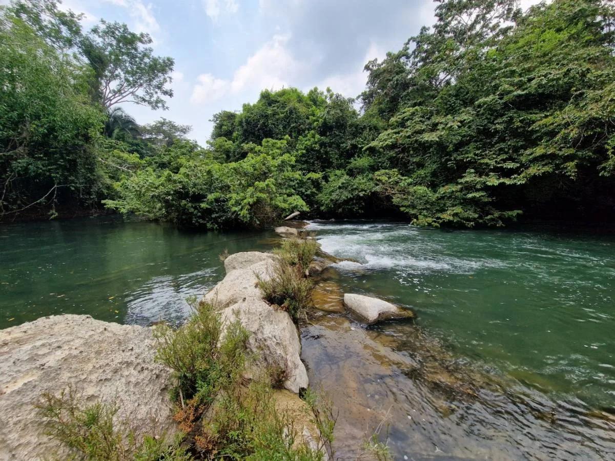 39.3 acres of beautiful Riverfront Property in Big Falls - Photo 6