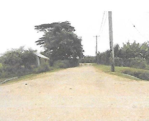 Prime Land In the Nation’s Capital - Photo 4
