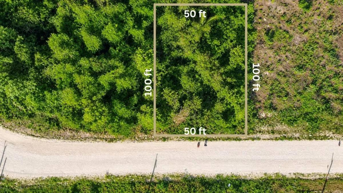Prime Residential Lot with Mountain Views in San Ignacio - Photo 4
