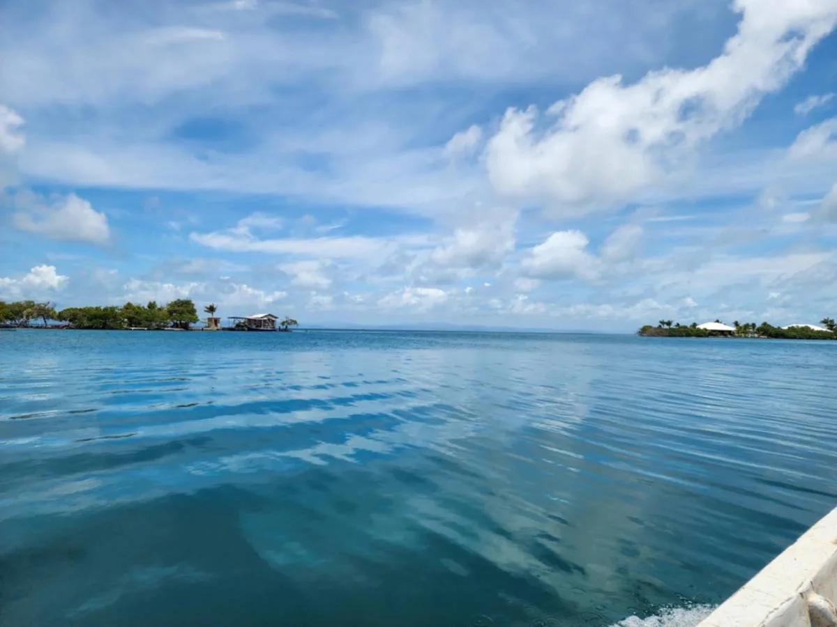 Two Exquisite Parcels on Saddle Caye - Photo 6