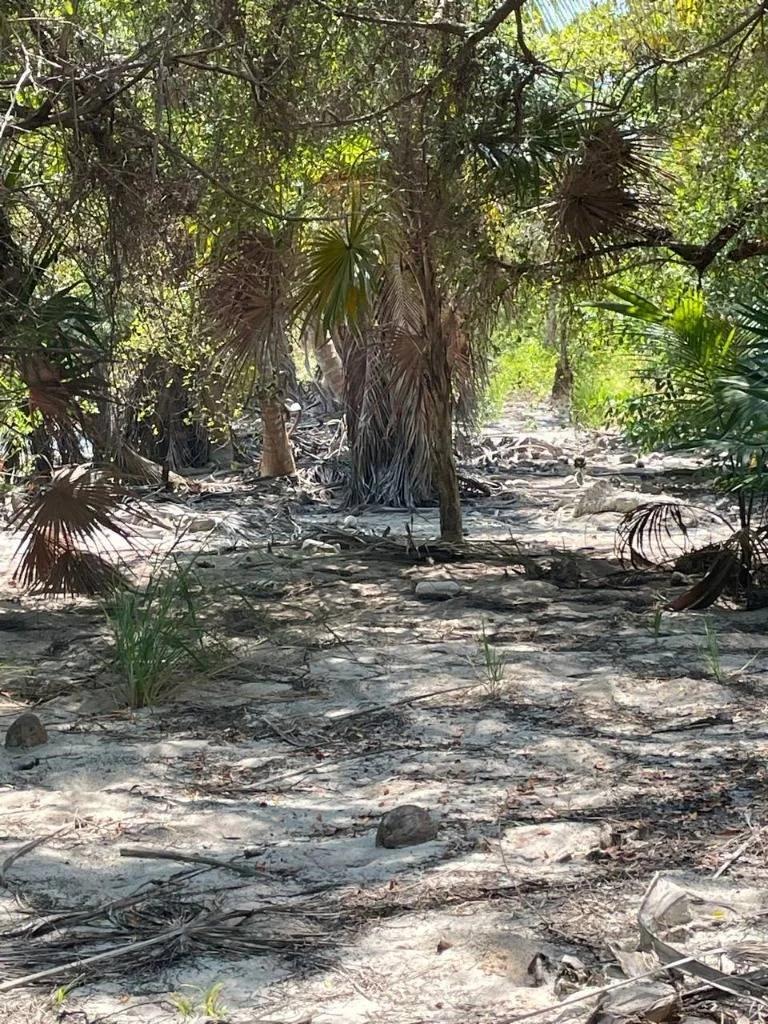 Rare Double Waterfront Lot Opportunity – North Island, Caye Caulker - Photo 8