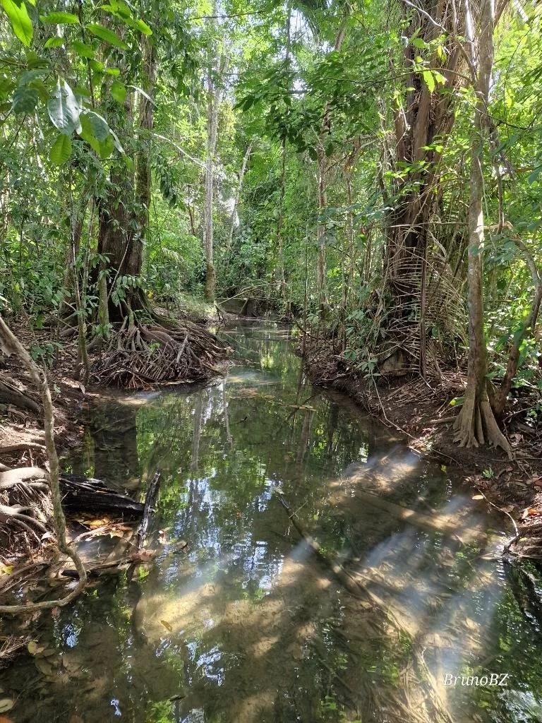 Exceptional 14.1 acres along the Mafredi Creek For Sale! - Photo 2