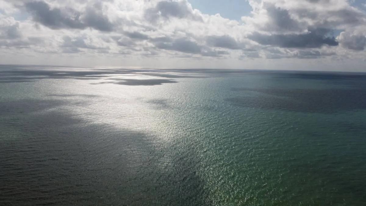 Spectacular 10.314 acres along the seacoast 2 miles north of Punta Negra (Toledo) - Photo 2