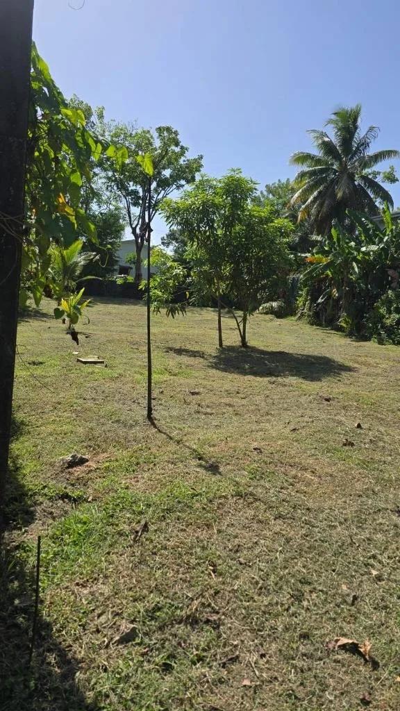 Seaside Residential Lot in Punta Gorda - Photo 7