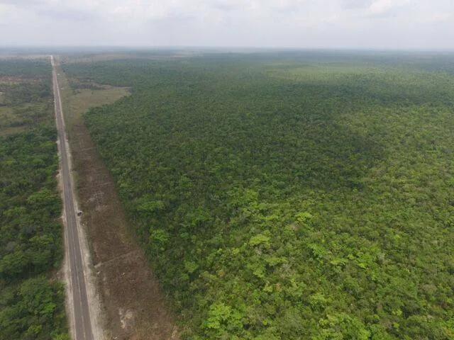 Large Untouched Acreage