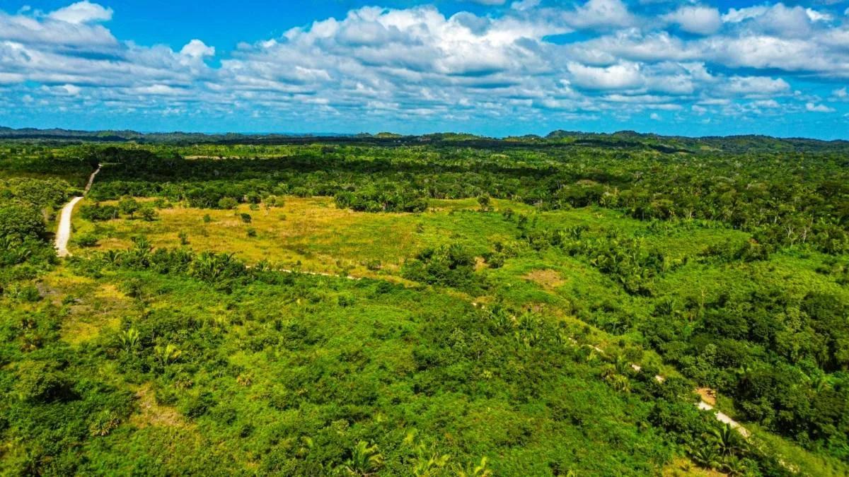 Tea Kettle Village | 230-Acre Riverfront Investment Estate in Belize - Photo 6
