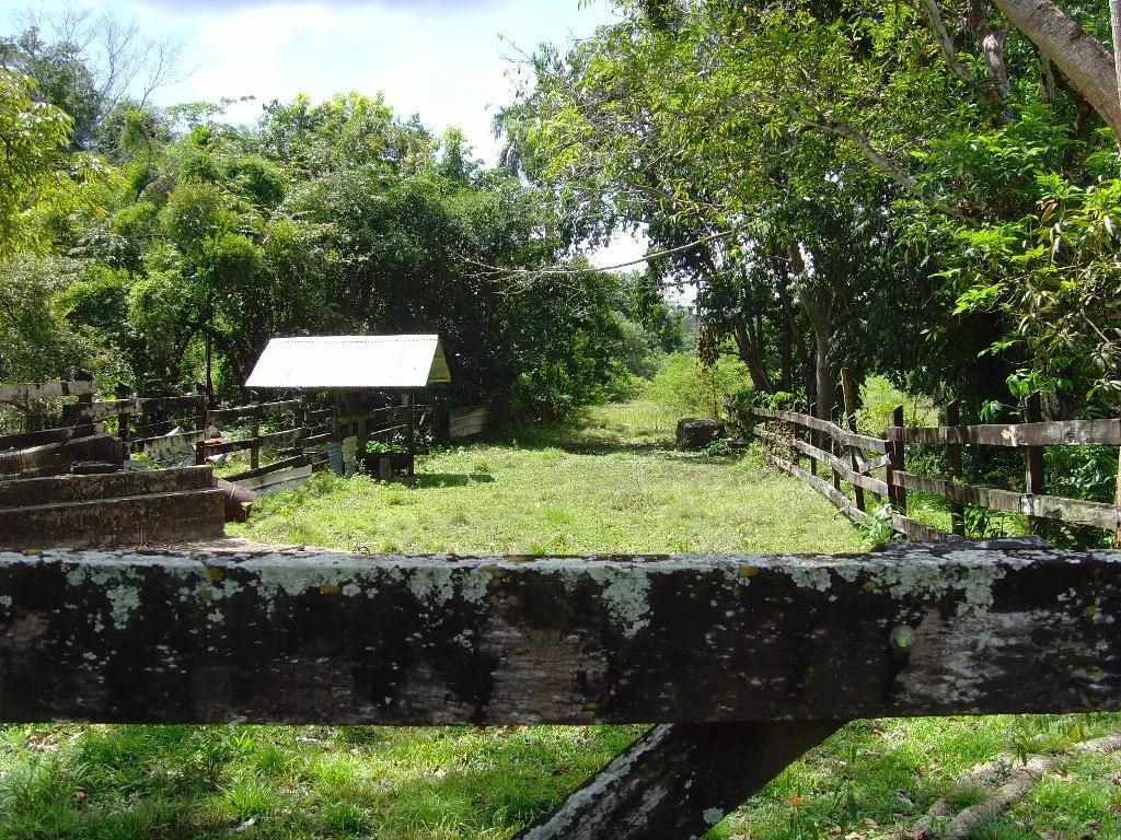 14 acres of riverside land located close to the International Airport and containing a warehouse and