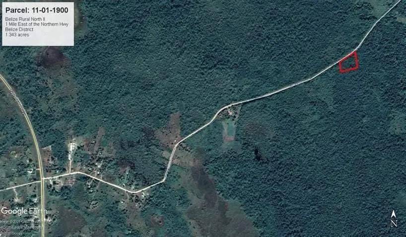 Prime Land for Sale Between Carmelita Vill. and Biscayne, just 10 minutes off Philip Goldson Hwy - Photo 2