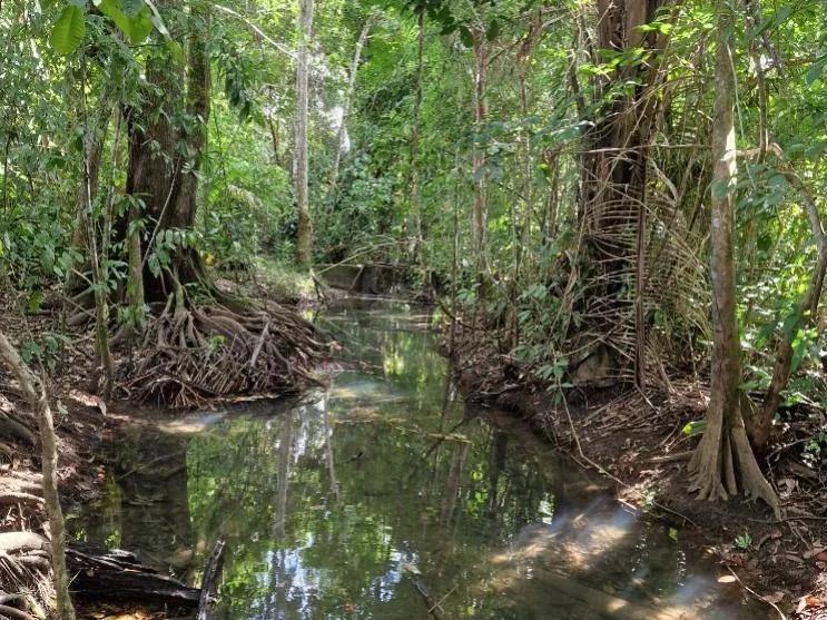 Exceptional 14.1 acres along the Mafredi Creek For Sale! - Photo 7