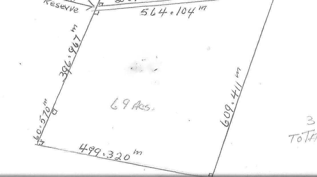 69.734 Acres of Forestry Land in Warree Bight/Sarteneja - Photo 5