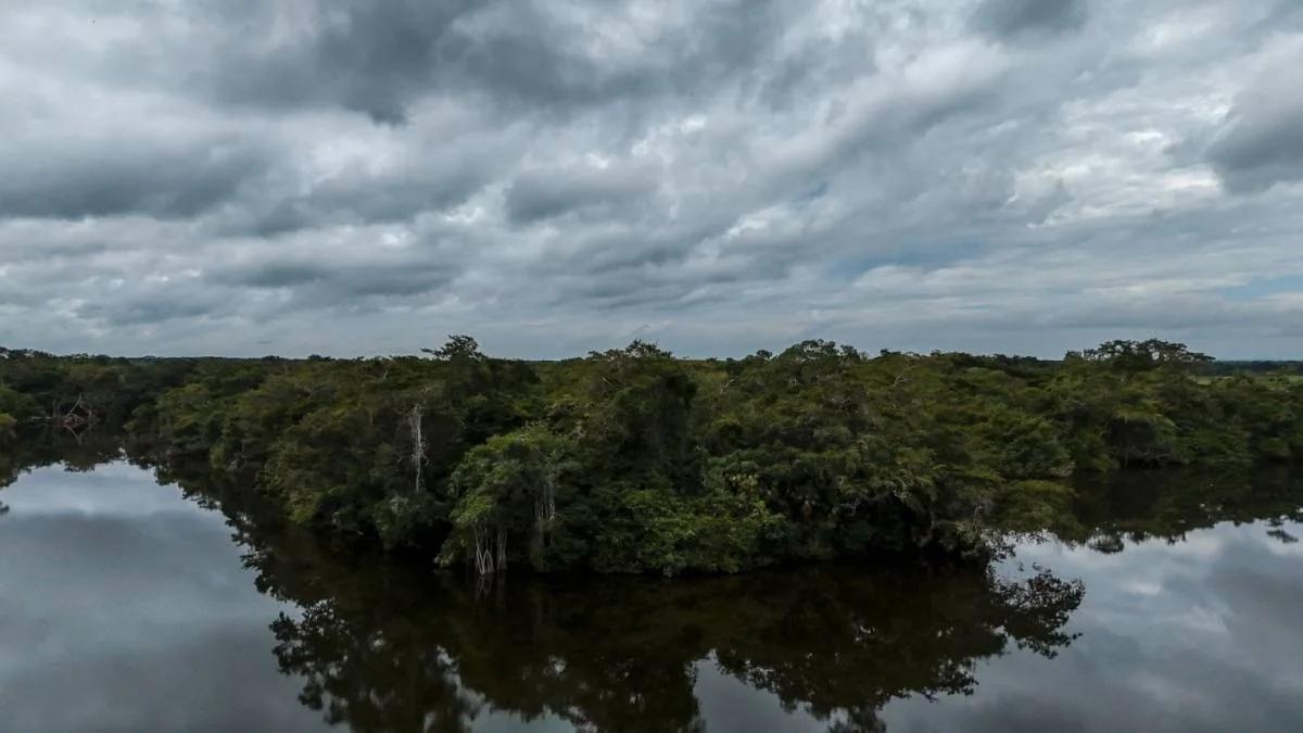 18.54 Acres of Riverfront Land in San Estevan, Belize - Photo 5